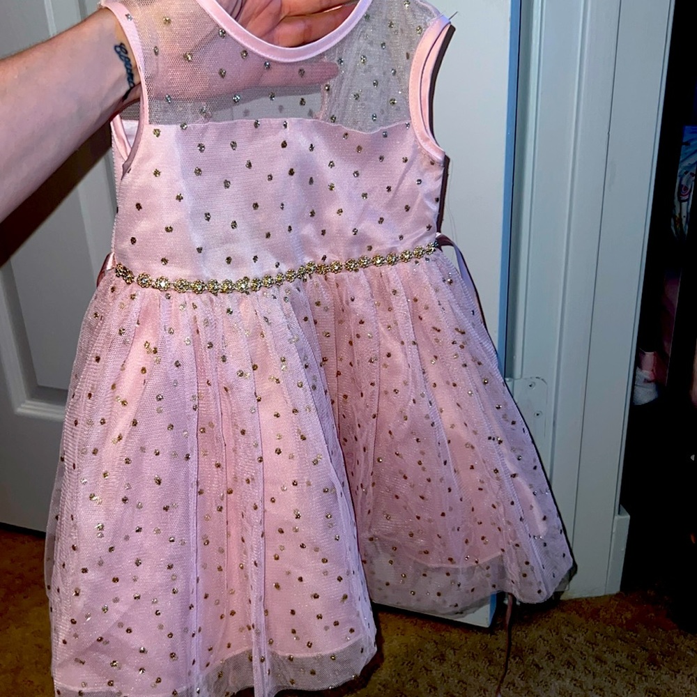 Rare Editions dress size 18 months . Pink with gold